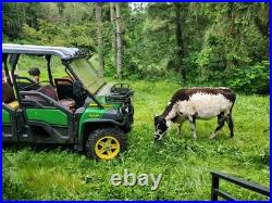 JOHN DEERE 825i S4 GATOR UTILITY VEHICLE 4X4