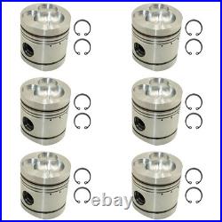 K946354 Six Pistons K206974 Fits David Brown AD6/55 Tractor Engines AD4/55T