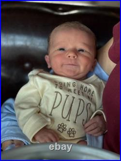 Used Classic Ferguson Farm Tractor for sale by owner